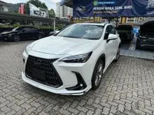 2022 Lexus NX 250 2.5 Luxury SUV