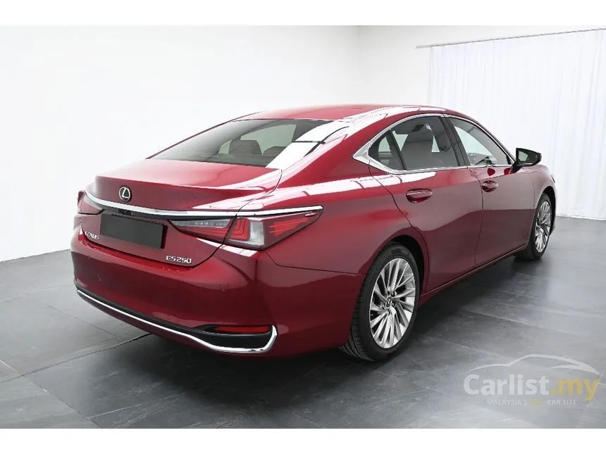 2019 Lexus ES 250 Luxury Sedan