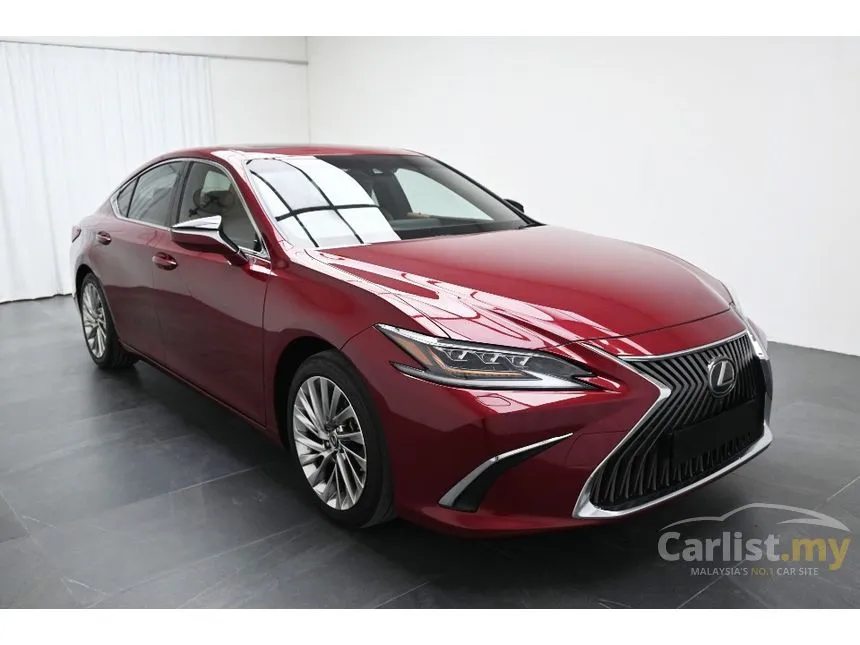2019 Lexus ES 250 Luxury Sedan