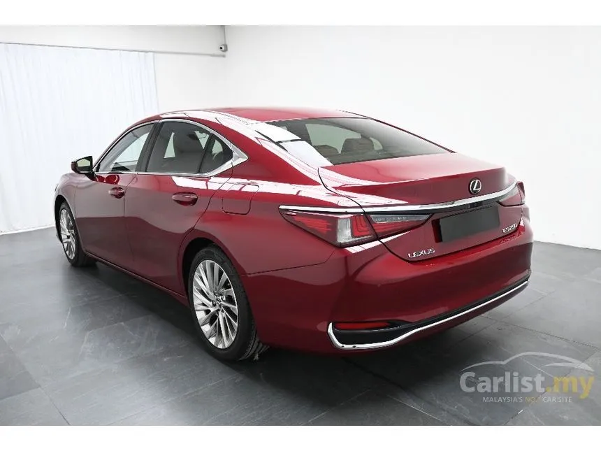 2019 Lexus ES 250 Luxury Sedan