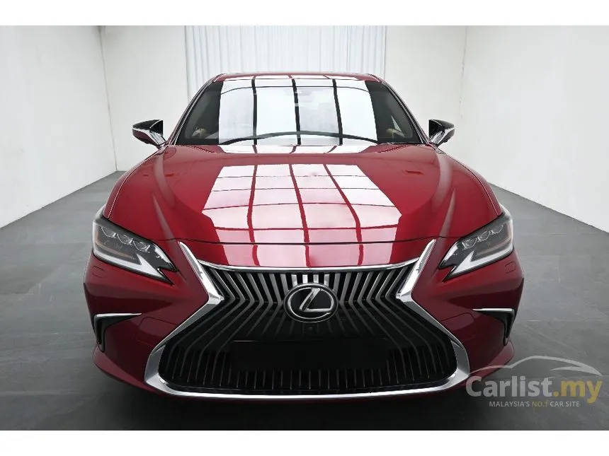 2019 Lexus ES 250 Luxury Sedan