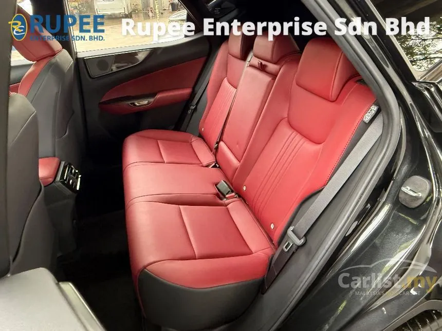 2023 Lexus NX 250 SUV