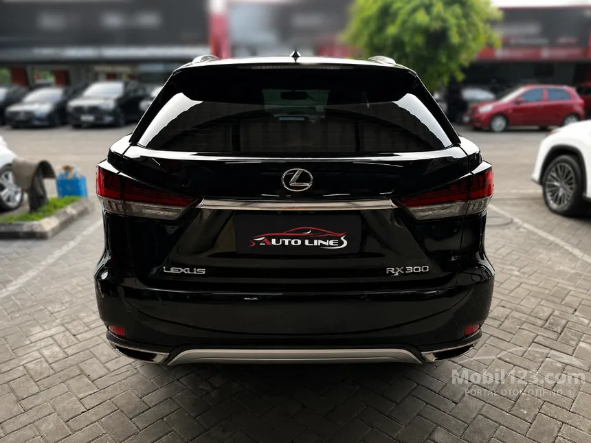 2022 Lexus RX 300 Luxury SUV