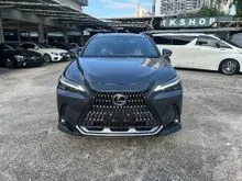 2022 Lexus NX 250 2.5 Luxury SUV