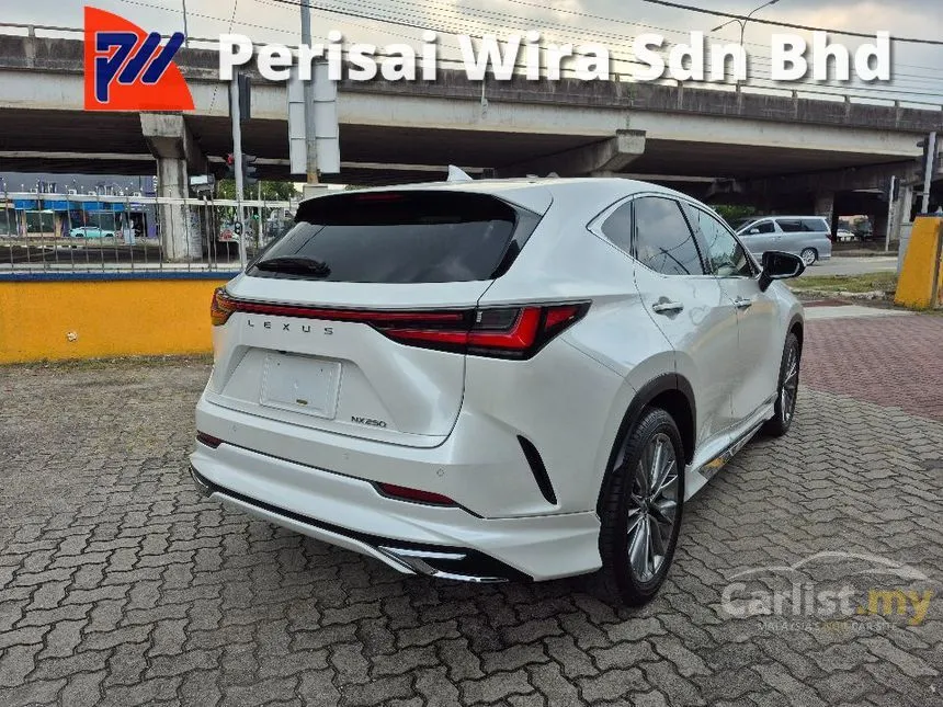 2022 Lexus NX 250 Luxury SUV