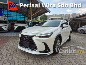 2022 Lexus NX 250 2.5 Luxury SUV