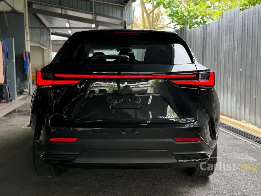 2023 Lexus NX 250 Luxury SUV