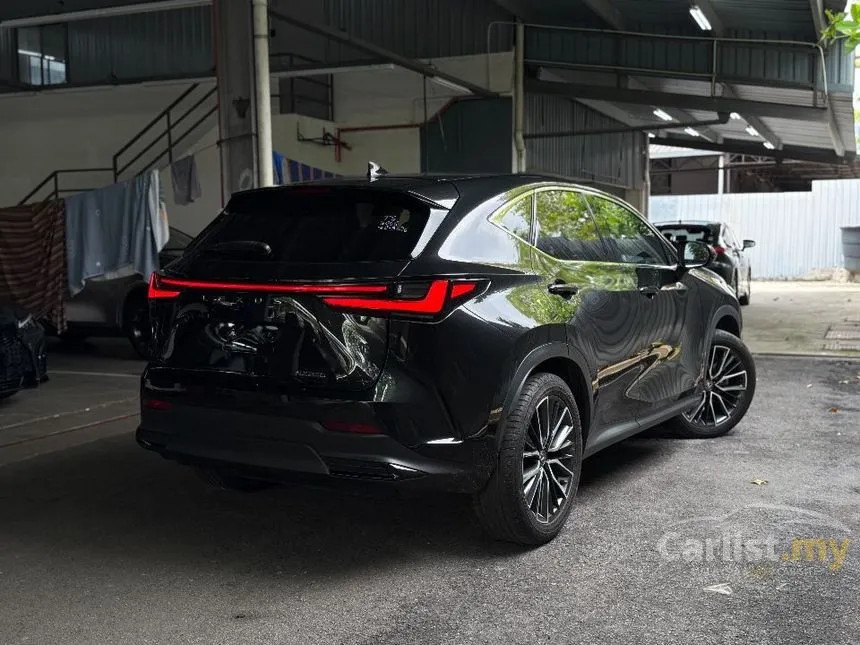 2023 Lexus NX 250 Luxury SUV