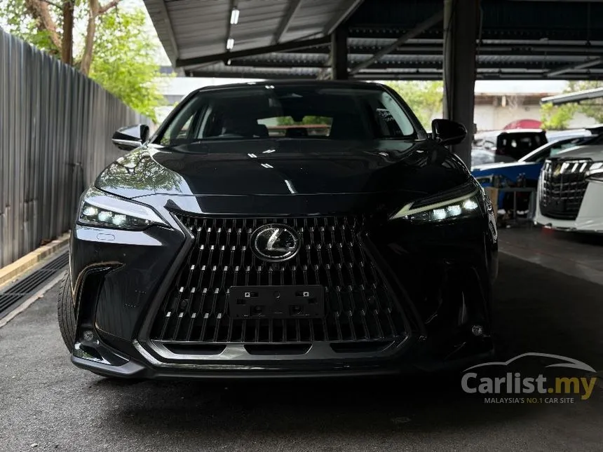 2023 Lexus NX 250 Luxury SUV