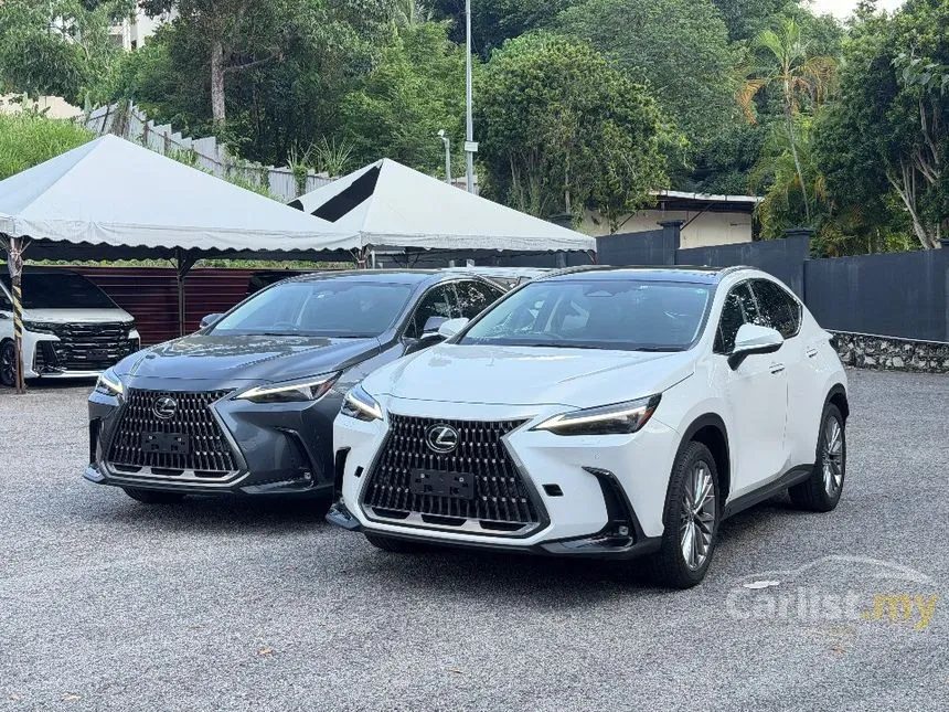 2023 Lexus NX 250 Luxury SUV
