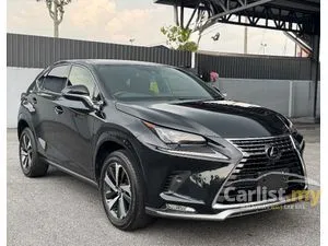 2020 Lexus NX 300 2.0 Premium SUV