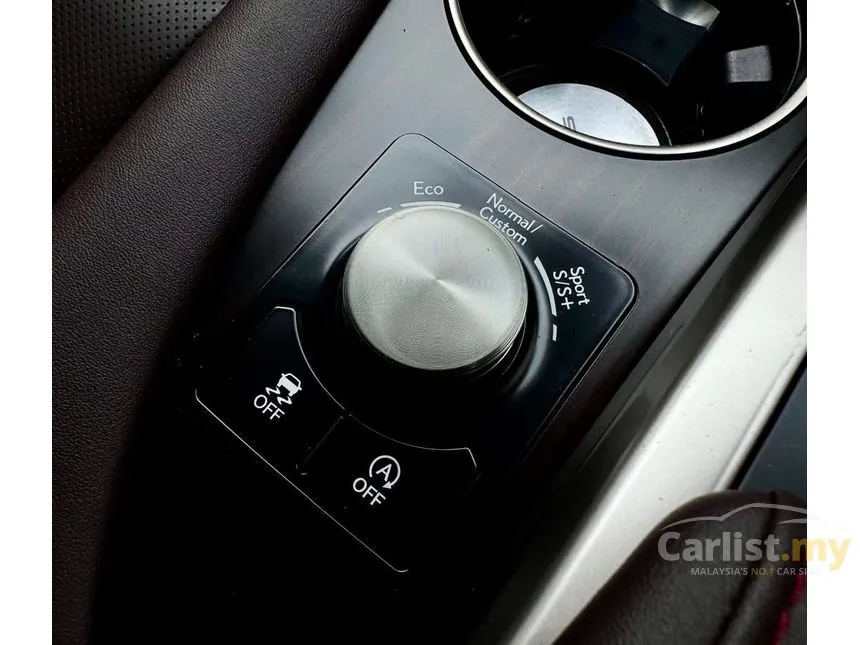 2021 Lexus RX 300 Luxury SUV