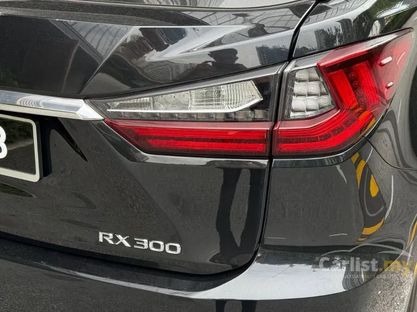 2018 Lexus RX 300 Luxury SUV