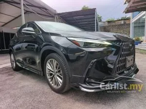 2023 Lexus NX 250 2.5 Luxury SUV
