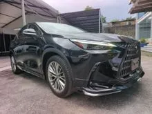 2023 Lexus NX 250 2.5 Luxury SUV SUNROOF MODELLISTA BROWN LEATHER UNREG
