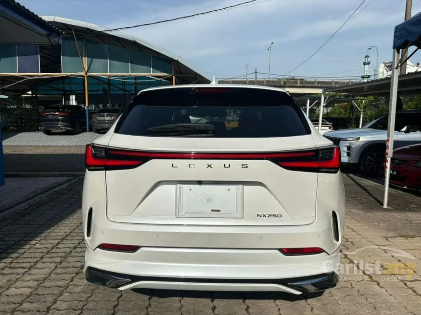 2022 Lexus NX 250 Luxury SUV