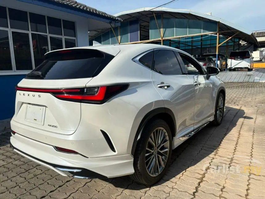 2022 Lexus NX 250 Luxury SUV