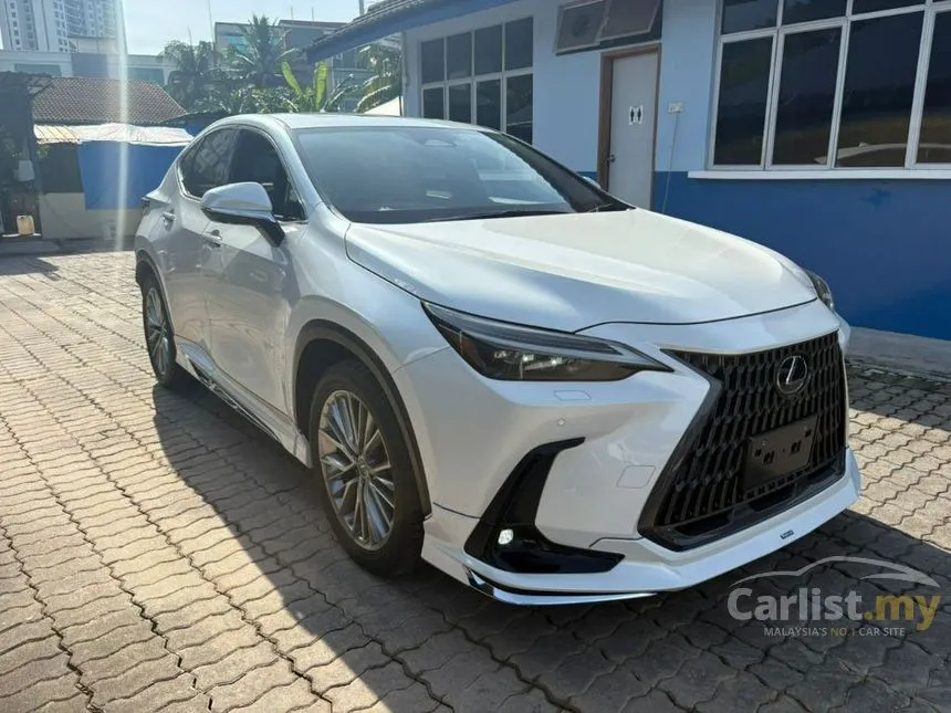 2022 Lexus NX 250 Luxury SUV