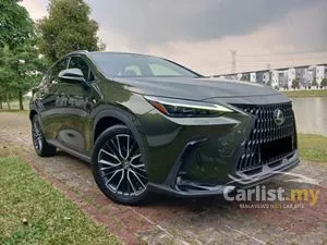 2022 Lexus NX 250 2.5 Luxury SUV