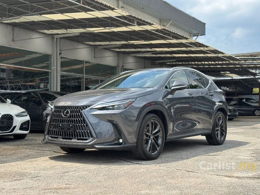 2022 Lexus NX 250 Luxury SUV