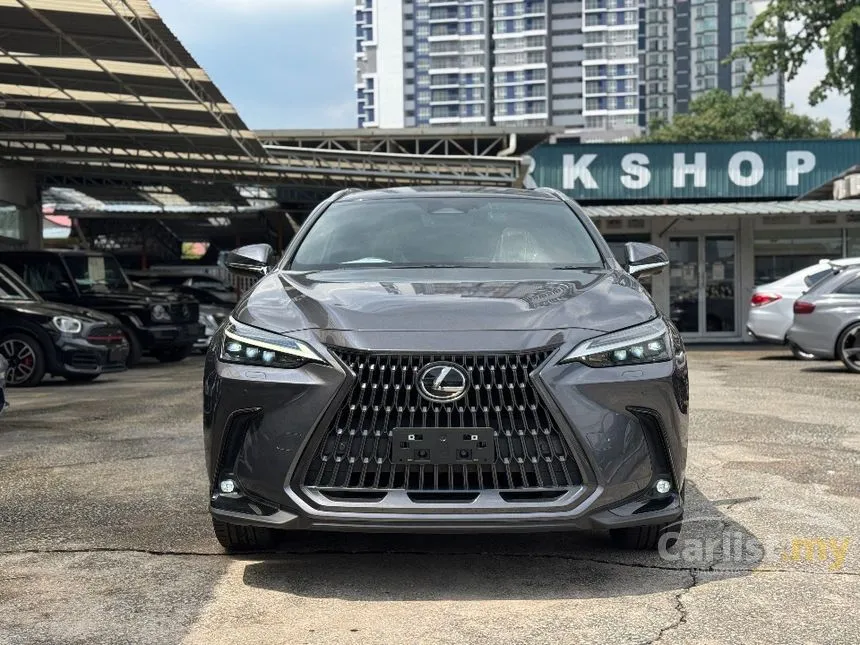 2022 Lexus NX 250 Luxury SUV