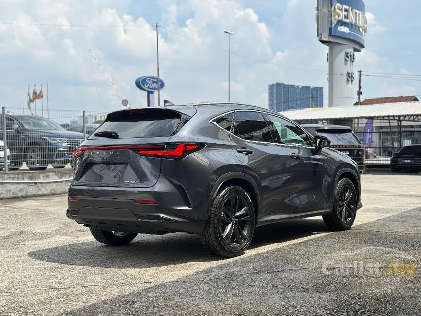 2022 Lexus NX 250 Luxury SUV