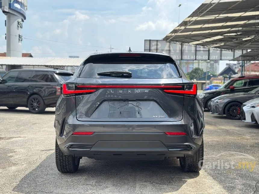 2022 Lexus NX 250 Luxury SUV