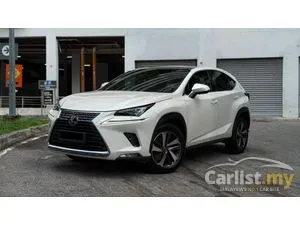 2018 Lexus NX 300 2.0 Urban SUV