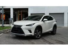 2018 Lexus NX 300 2.0 Urban LOCAL SPEC PANAROMIC ROOF