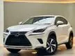 Recon 2018 Lexus NX300 2.0 I Package Ready Stock Offer, Tip Top Condition, LOW Mileage - Cars for sale