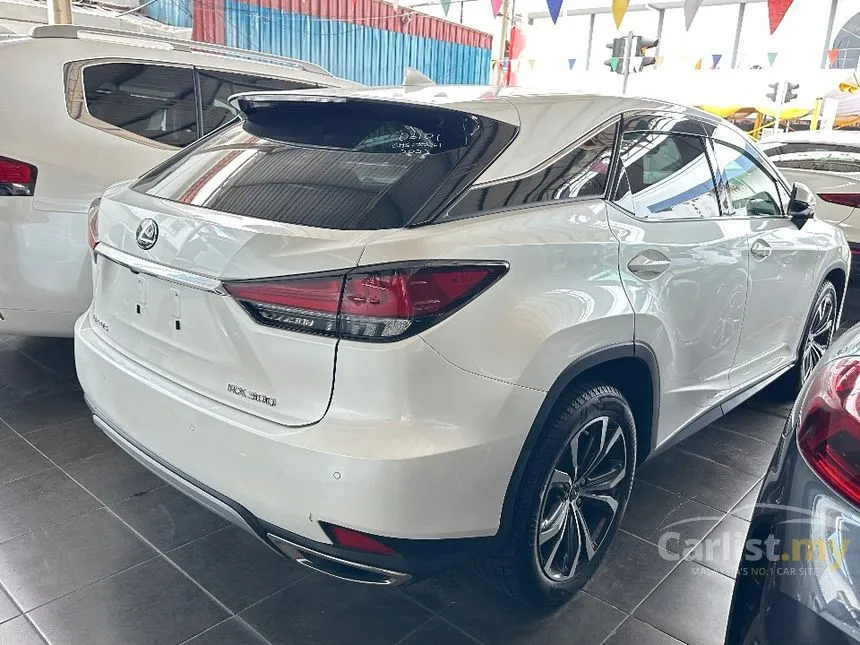 2019 Lexus RX300 Luxury SUV