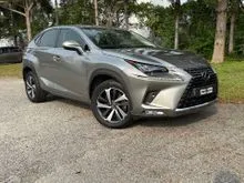 2018 Lexus NX 300 2.0 Premium SUV