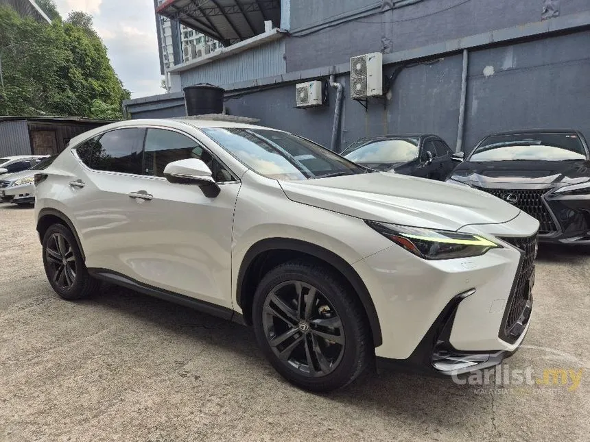 2022 Lexus NX 250 Luxury SUV