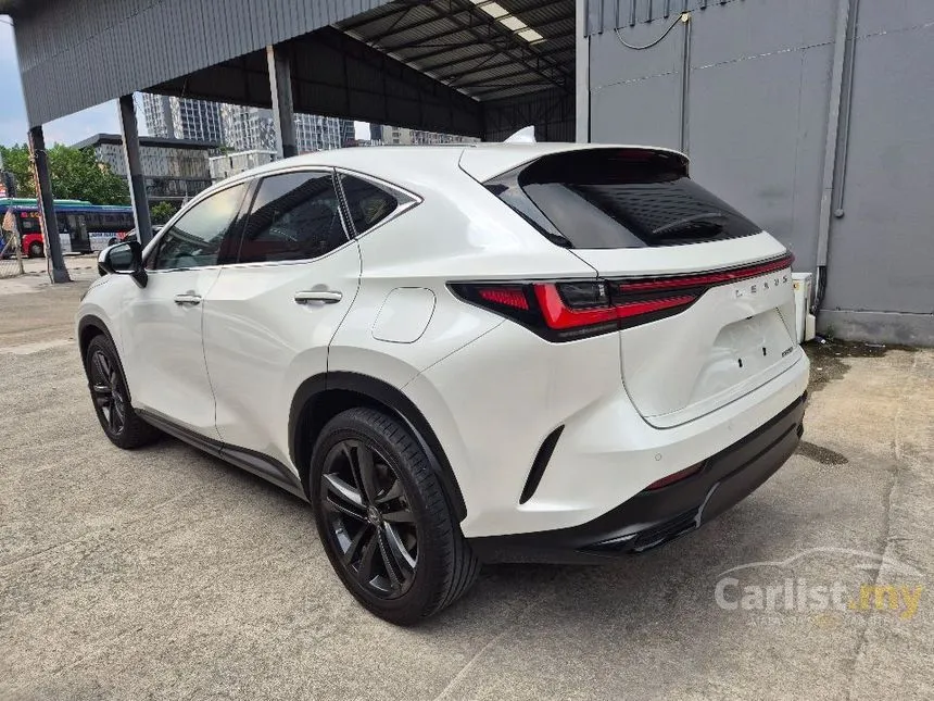2022 Lexus NX 250 Luxury SUV