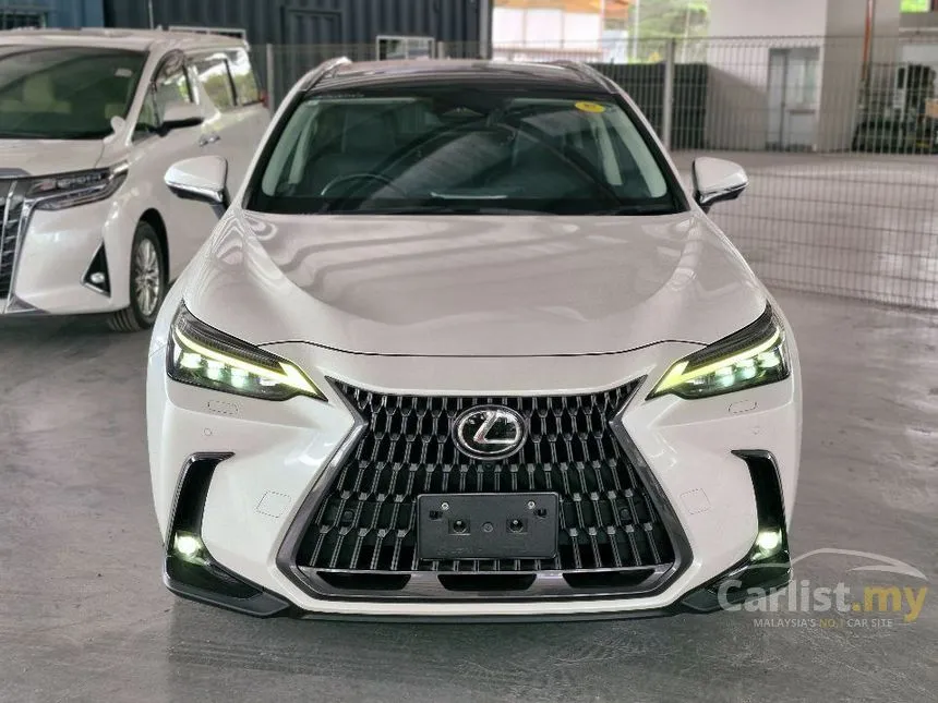 2023 Lexus NX 250 Luxury SUV