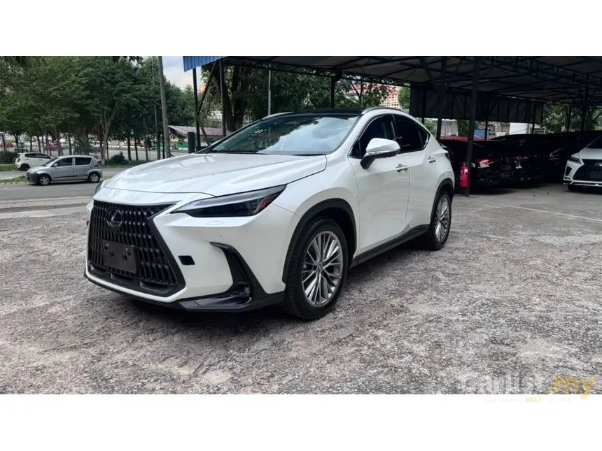 2023 Lexus NX 250 SUV