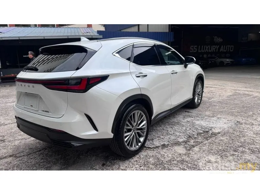 2023 Lexus NX 250 SUV