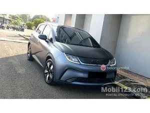 2024 BYD Dolphin Premium Extended Range Hatchback