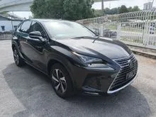 2020 Lexus NX 300 2.0 I Package SUV
