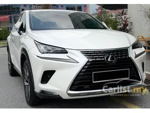 2020 Lexus NX 300 2.0 Premium SUV