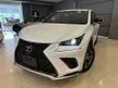 Recon 2019 Lexus NX300 2.0 F Sport Nx250/Rx300/Rx500/Harrier/Macan