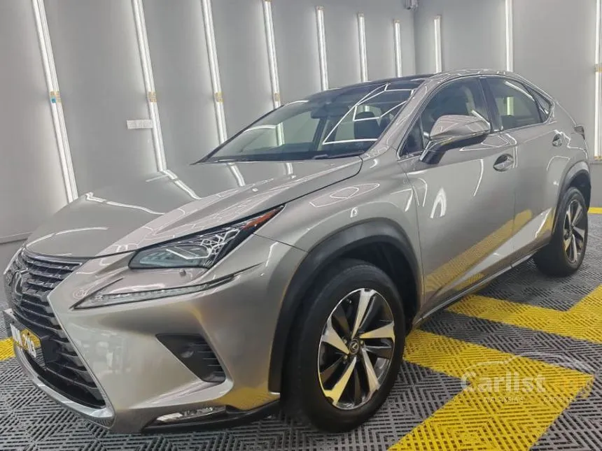2018 Lexus NX 300 SUV