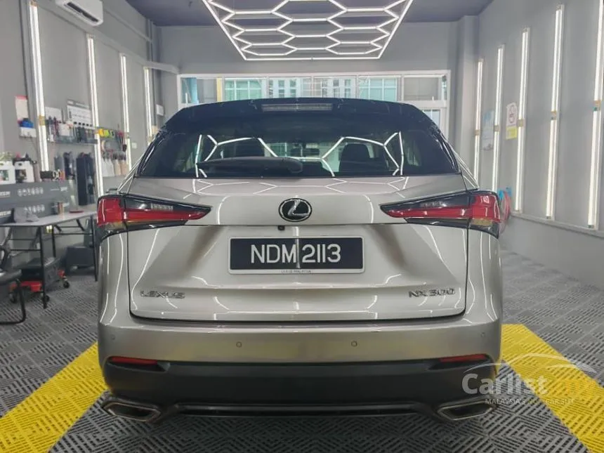 2018 Lexus NX 300 SUV