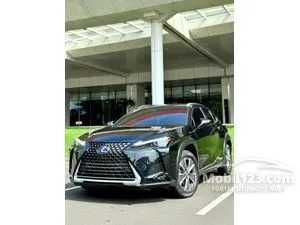 2022 Lexus UX 300e SUV