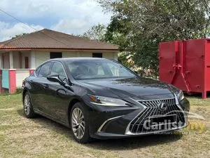 2023 Lexus ES 250 2.5 Luxury Sedan