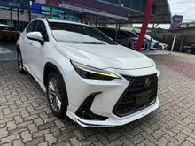 2022 Lexus NX 250 2.5 Luxury SUV