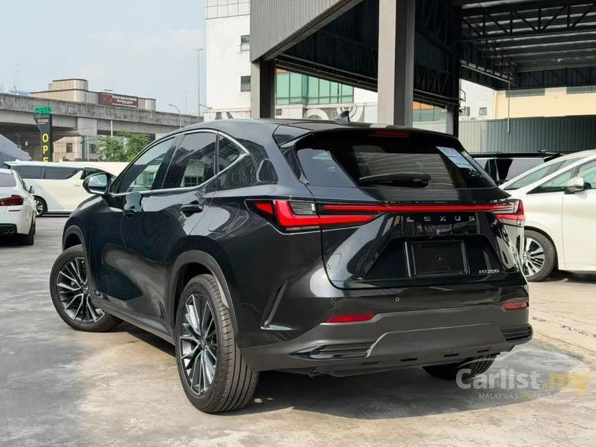 2023 Lexus NX 250 SUV