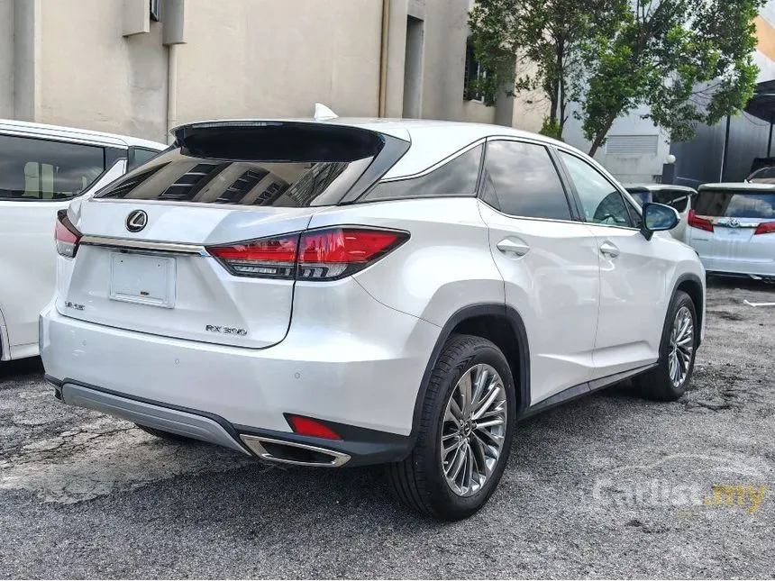 2021 Lexus RX 300 Luxury SUV