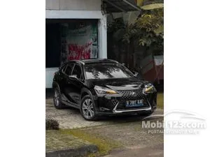 2022 Lexus UX 300e SUV