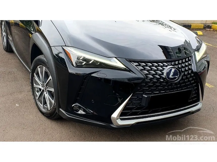 2022 Lexus UX 300e SUV